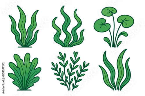 Vector illustration of stylized aquatic plants, underwater foliage, and freshwater greenery in minimalistic cartoon design. Unique shapes, fluid forms, botanical elements. Transparent background art.