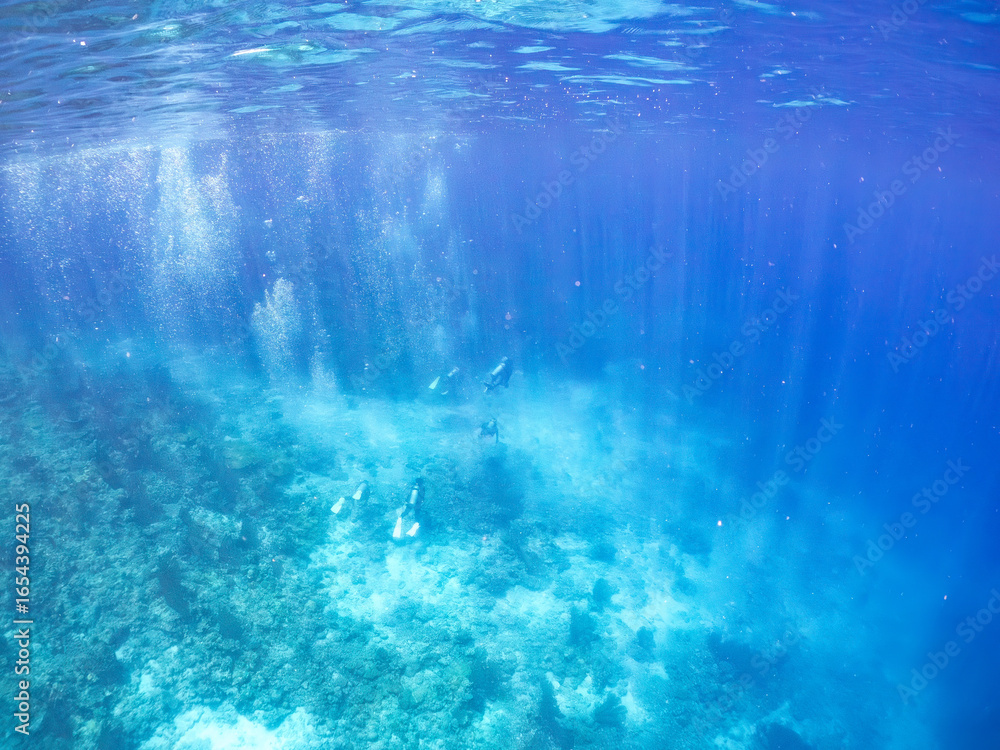 Fototapeta premium スクーバダイバーたち。 美しいサンゴ礁と熱帯魚の群れ。 沖縄県島尻郡慶良間諸島座間味島安室島-2025/6/27 