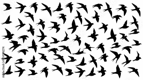 Silhouetted birds are flying in different directions creating a dynamic and visually interesting pattern