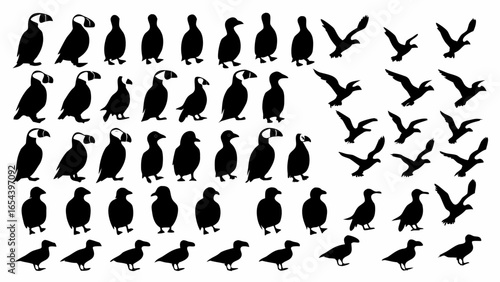 Silhouette of various puffins in different poses including standing and flying in a black and white design