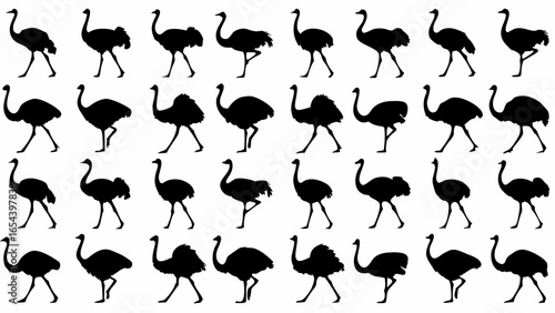 Silhouette pattern featuring multiple images of ostriches in various walking and standing poses repeated