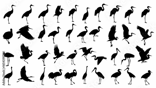 Silhouette collection showcasing various poses and stances of herons and similar long legged birds