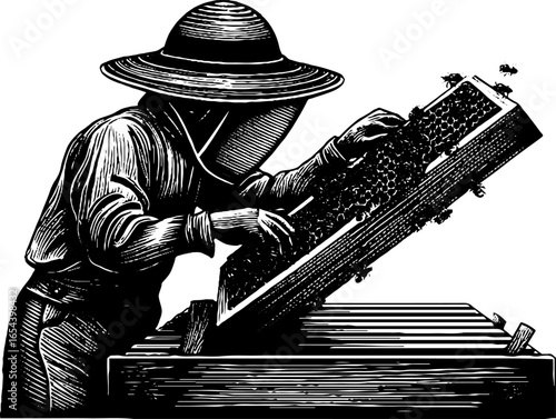 Beekeeper examining honeycombs in vintage engraving style