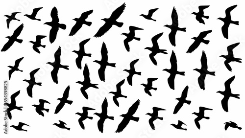 Silhouette illustration of many birds flying in different directions on a white background design art
