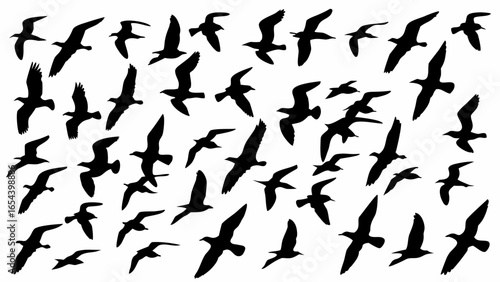 Silhouette illustration of a flock of birds flying against a white background in various orientations