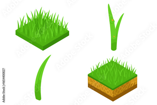 Isometric grass icon set. Vector illustration of green lawn turf, soil cross-section layer. Nature design elements, grass blade with dew, texture pattern for garden.