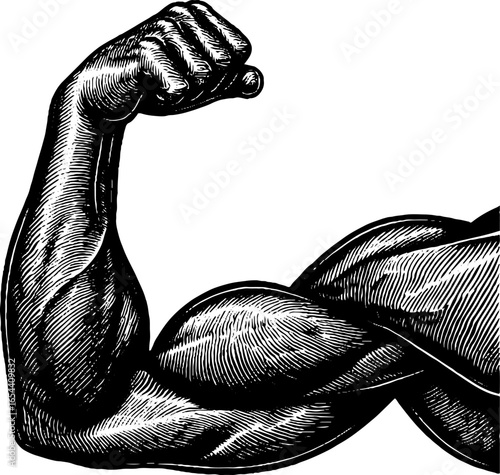 Engraved illustration of muscular male arm flexing for fitness and strength design