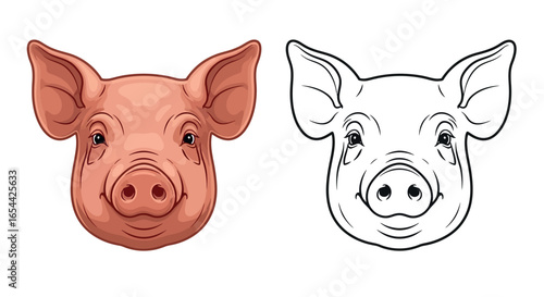 Pig head vector illustration farm animal drawing and outline
