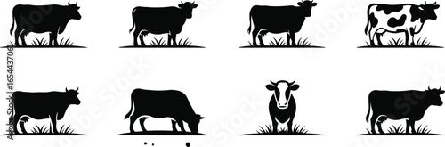 Cow silhouette vector set, grazing cow clipart, farm animal illustration, black cattle poses, spotted cow graphic, pasture livestock design