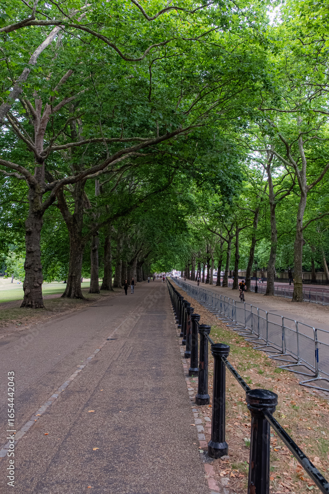 Obraz premium Tree-lined path, Constitution Hill, London, UK