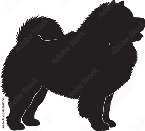 Chow Chow dog silhouette standing on white background