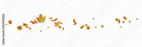 Falling autumn maple and oak leaves, colorful shades. Vector effect of wind and swirling leaves for decor, banners, posters and design projects on a white background.