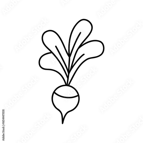 Vector art of radish with leaves isolated on white background