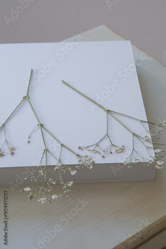 押し花のカスミソウ｜白背景のシンプルな花素材