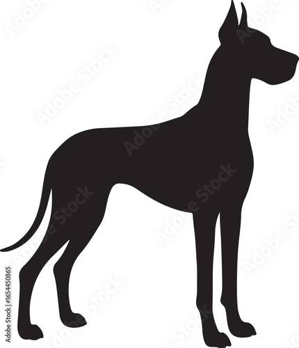 Elegant Great Dane dog silhouette standing gracefully posed