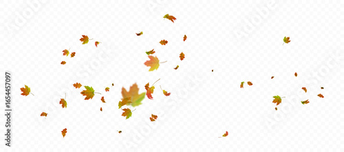 Falling autumn maple and oak leaves, colorful shades. Vector effect of wind and swirling leaves for decor, banners, posters and design projects on a white background.
