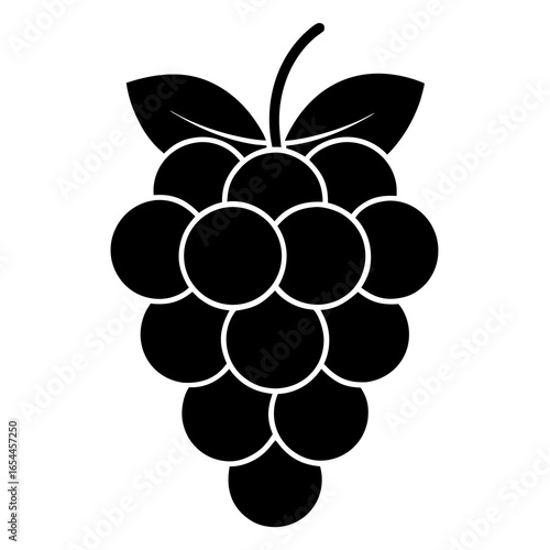 vector illustration of grapes