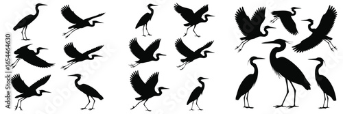 Heron Silhouette Graphics Standing, Flying, and Landing Positions Isolated on White Background
