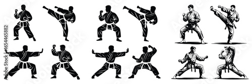 Martial Arts Silhouettes Diverse Poses of Karate and SelfDefense in Black and White