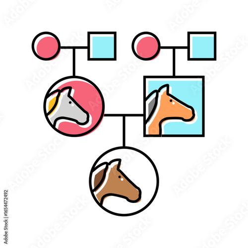 pedigree chart horse breeding color icon vector illustration