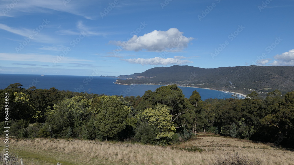 Obraz premium Serene Coastal Landscape Surrounded by Blue Sea and Forest, Tasmania