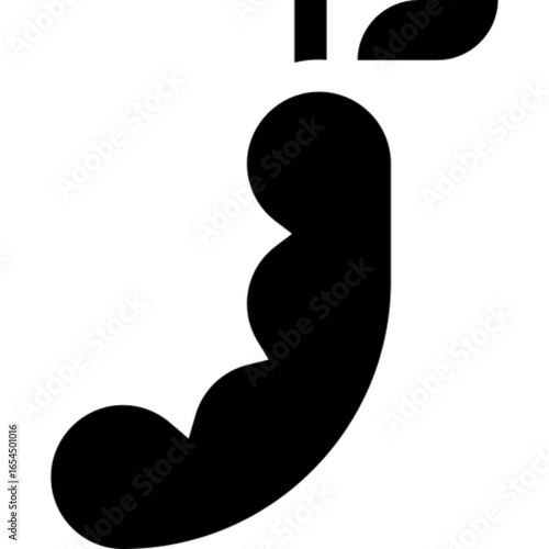 Tamarind Vector Icon