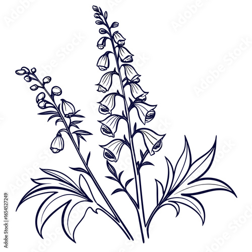 black and white aconitum forex