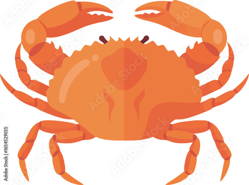 A vibrant illustration of a large orange crab, viewed from above, showcasing its detailed claws and legs.