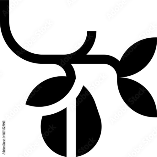 Almond Tree Branch