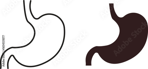 Simple line art and filled icon of a human stomach. Medical, anatomical illustration.