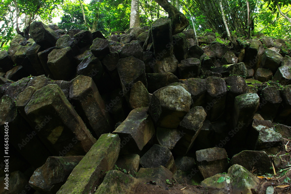 Obraz premium stone in the forest