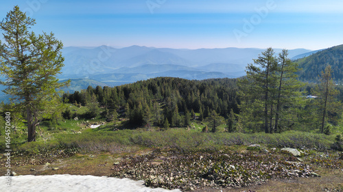 Photography A tranquil mountain landscape with grassy fields, snow patches, dense forest, and majestic mountain range under a clear blue sky exudes serene beauty in summer