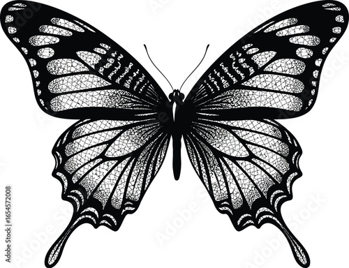 Detailed butterfly illustration, black and white insect with intricate wings