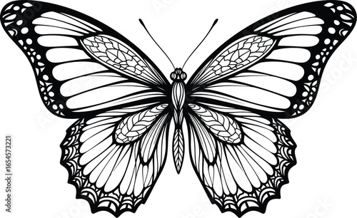 Detailed butterfly illustration, black and white insect with intricate wings