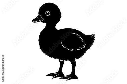 White waterfowl vector illustration featuring a lone mallard duck isolated on a plain background