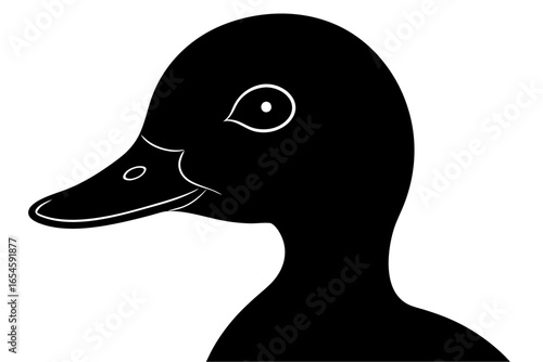 White-headed duck with a black and white beak