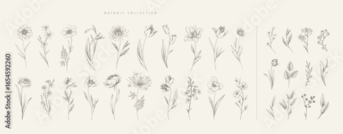 Set of detailed various flowers and foliage, intricate details and delicate forms. Hand drawn vector illustration with elegant botanical elements for invitation, save the date card