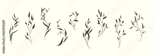 Set of sophisticated branch in silhouette or linocut drawing style. Luxury floral collection for wedding invitation, wallpaper art or save the date card