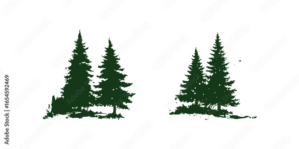Obraz premium Tall evergreen trees arranged in groups, showcasing rich green hues and natural shapes