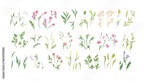 Floral set with colorful wild flowers and elegant branch. Botanical foliage for wedding invitation or wall art. Vector illustration