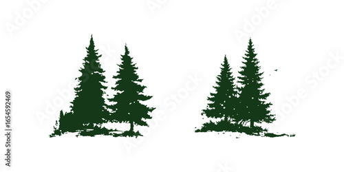Tall evergreen trees arranged in groups, showcasing rich green hues and natural shapes