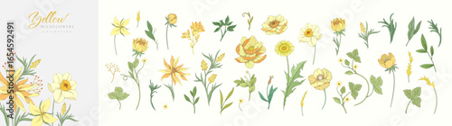Floral set with colorful wild flowers and elegant branch. Botanical foliage for wedding invitation or wall art. Vector illustration