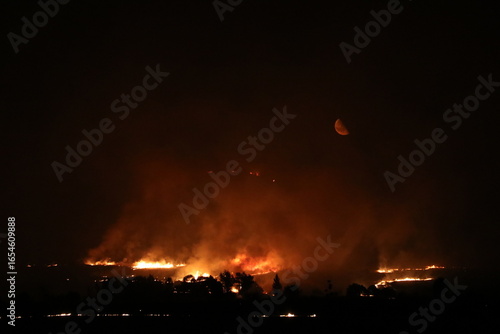 Rising temperatures due to global warming have led to an increase in forest fires worldwide. The forest fire in Diyarbakır was brought under control in two days.