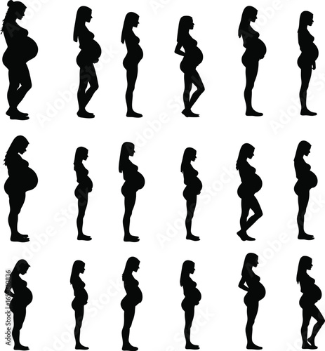 Pregnant women silhouettes showing pregnancy stages