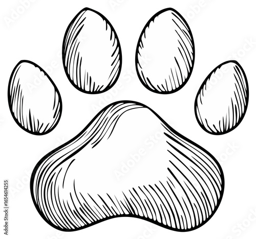 A hand drawn illustration of an animal paw print in a black and white line art sketch style