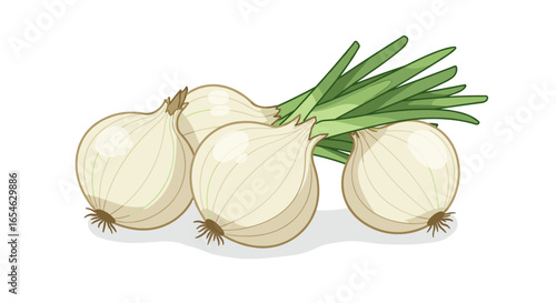 Fresh white onions with green stems on white background