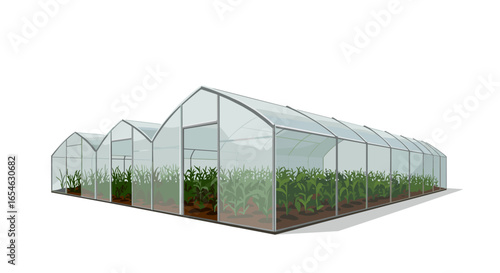 Modern greenhouse with lush vegetation and transparent structure