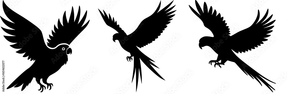 Obraz premium Three Bird Silhouettes: Eagle, Parrot, and Macaw