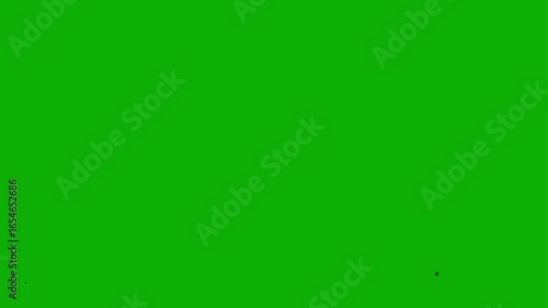  I have Too much Animation and animation with high Resolution and Good quality. Ultra high Definition, 4k video. 