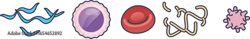 Medical illustration of blood coagulation elements. Shows fibrin mesh, red blood cell, and activated platelet, key agents in the clotting cascade.
